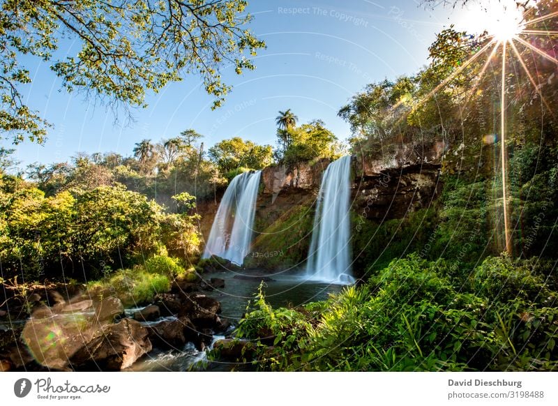 Iguazu: Two Sisters Vacation & Travel Tourism Expedition Summer vacation Plant Water Cloudless sky Spring Tree Bushes Moss Virgin forest River Waterfall