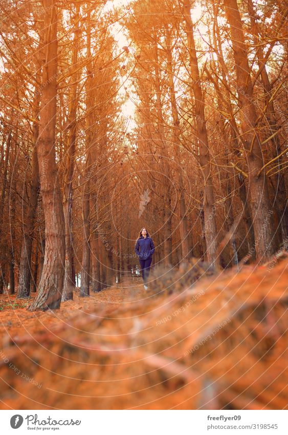 Young woman taking a walk on a forest in Autumn Lifestyle Wellness Meditation Leisure and hobbies Vacation & Travel Tourism Sun Winter Hiking Feminine