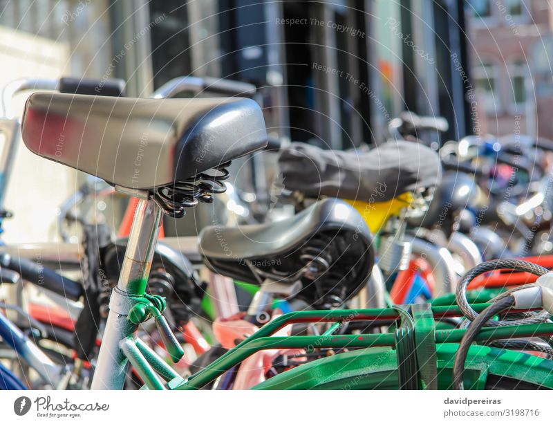 Detail of bikes parked in the street Lifestyle Beautiful Leisure and hobbies Vacation & Travel Sports Culture Transport Street Vehicle Metal Steel Old Black