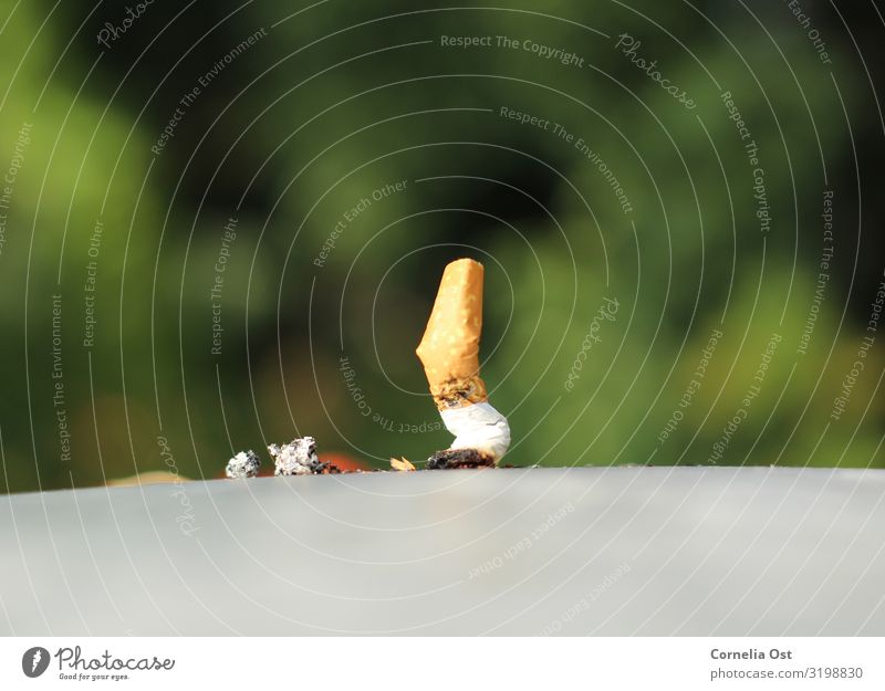 The End Lifestyle Healthy Smoking Intoxicant Vice Addiction Cigarette Ashes Cigarette Butt Colour photo Exterior shot Close-up Detail Deserted Day