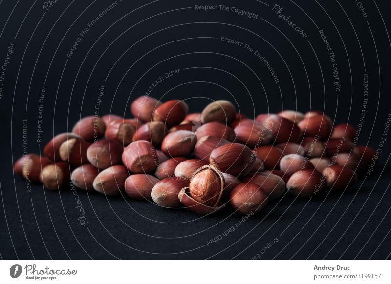 Hazelnut isolated on black background. Set or collection. Food Grain Cake Dessert Ice cream Candy Chocolate Breakfast Picnic Organic produce Vegetarian diet