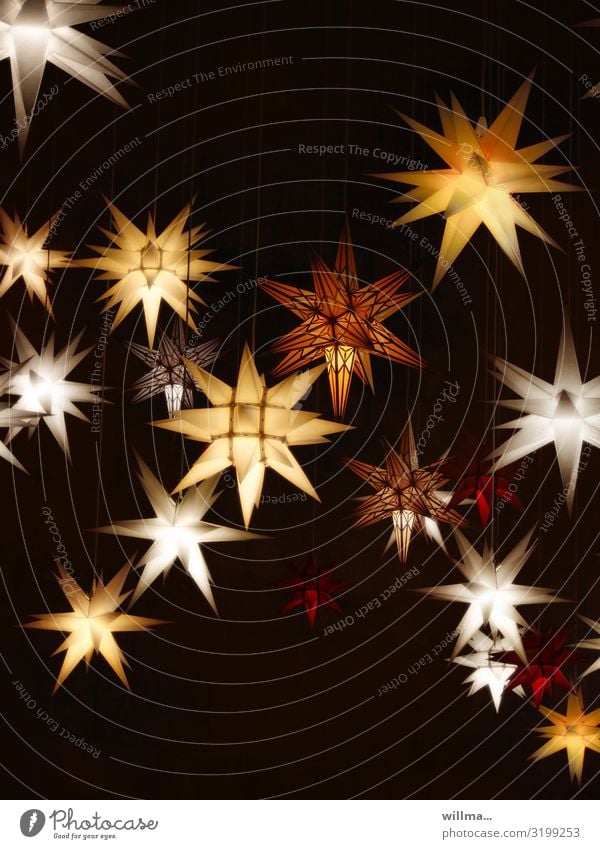 shining advent stars - sidereal hours Christmas & Advent Advent stars Star (Symbol) Christmas decoration Christmas star Christmas fairy lights Illuminate