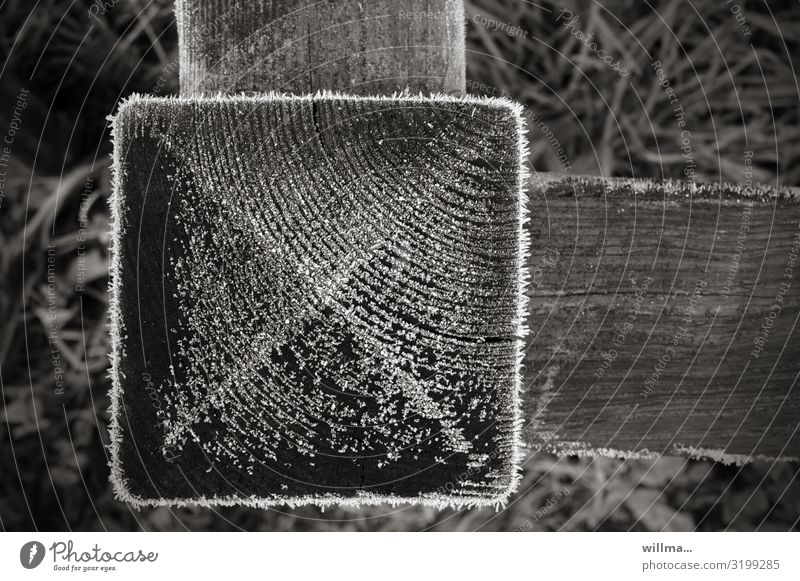 Hoarfrost on a wooden square, detail of a fence Hoar frost Cold chill Winter Frost Wood Pole wooden posts Garden fence Fence ice crystals Square At right angles