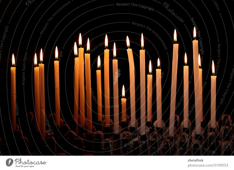 Candle row in church Feasts & Celebrations Easter Christmas & Advent Funeral service Art Drop Illuminate Dream Sadness Dark Love Loyalty Romance Church