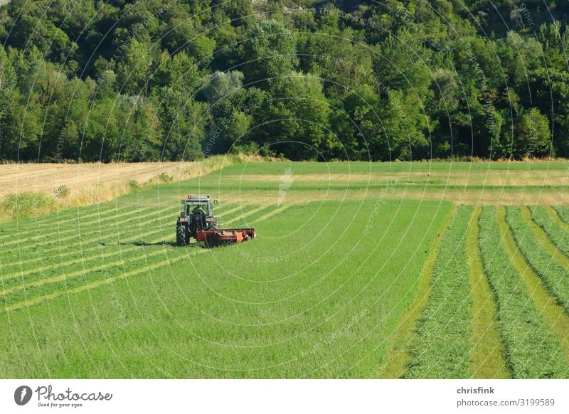 Tractor on a green meadow Work and employment Profession Farmer Agriculture Machinery Engines Environment Climate change Meadow Field Vehicle Poverty Life