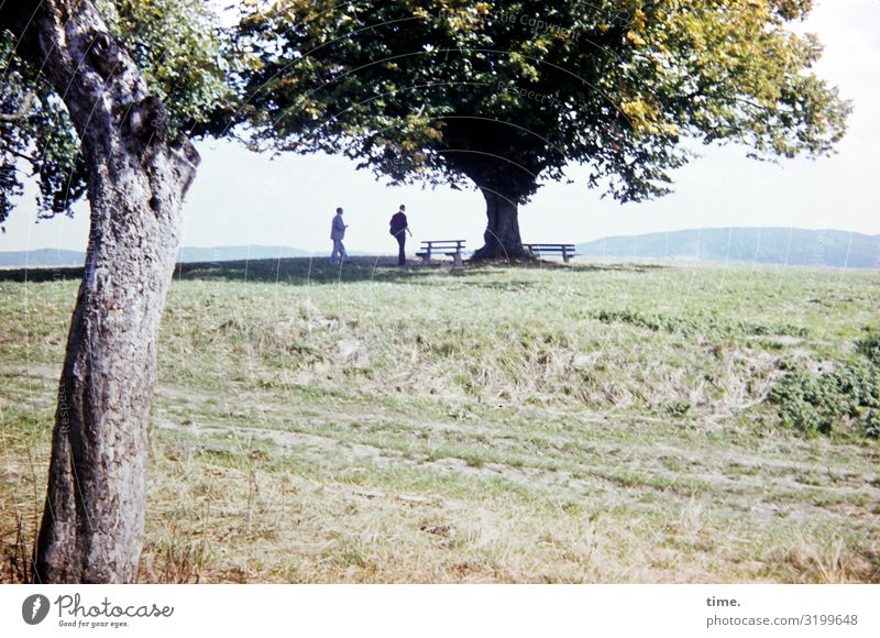 hiking break Vacation & Travel Trip Masculine Man Adults 2 Human being Environment Nature Landscape Beautiful weather Tree Meadow Mountain Suit Bench Going