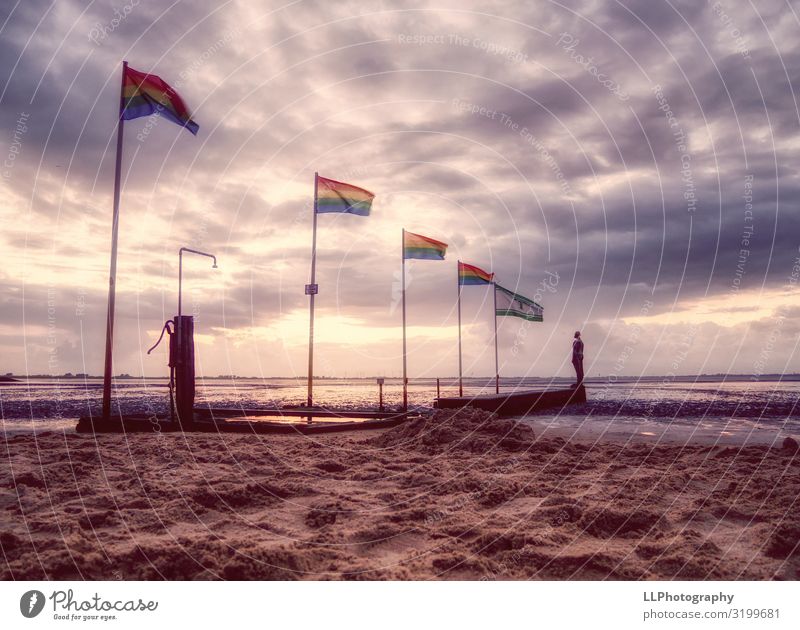 Wadden Sea Environment Nature Landscape Sand Air Water Clouds Sunrise Sunset Summer Beautiful weather Wind Coast Beach Bay North Sea Exotic Fresh Yellow Gold