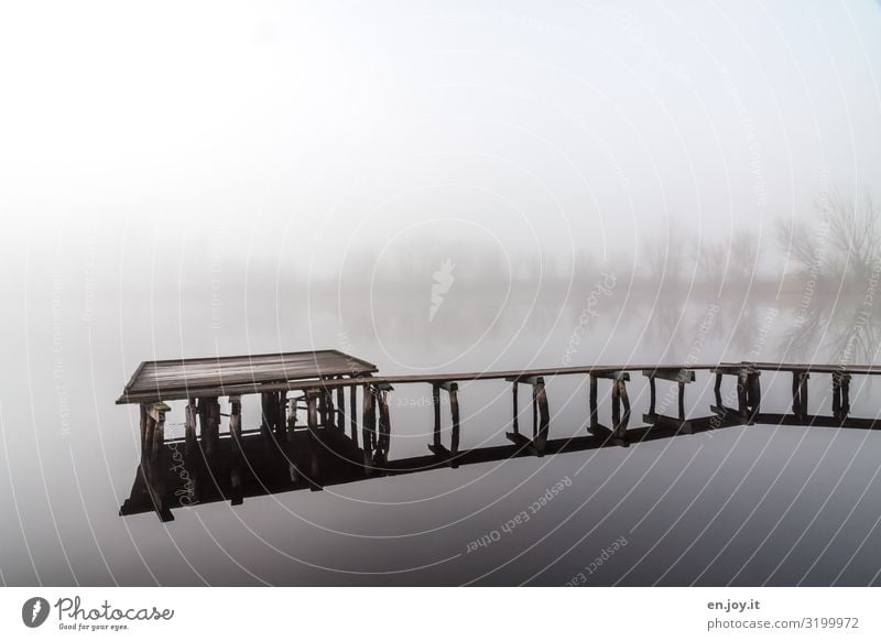 catwalk Vacation & Travel Trip Nature Landscape Autumn Winter Fog Lake Footbridge Pole Loneliness Relaxation Cold Calm Death Grief Sadness Colour photo