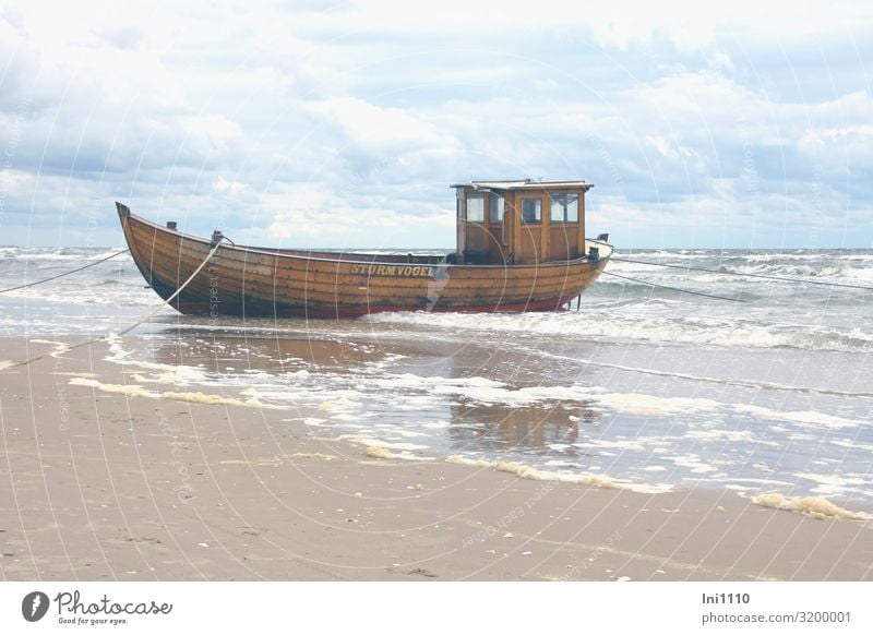 petrel Landscape Water Sky Clouds Spring Coast Baltic Sea Ocean Navigation Blue Brown Gray White Usedom Ahlbeck Fishing boat Beach Horizon Clouds in the sky