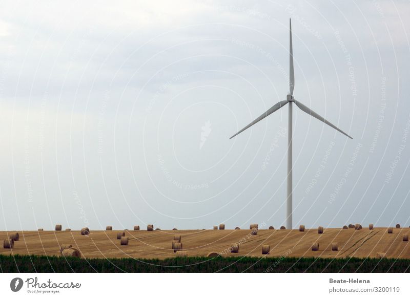 Harvest time 5 harvest season Grain fields Bale of straw Hay bale windrat harvested Field Agriculture Exterior shot