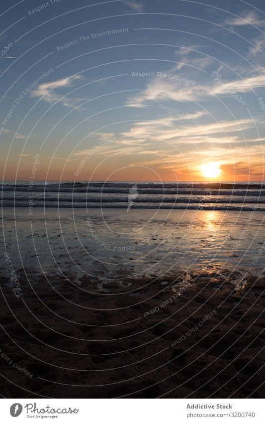 Picturesque view of sandy beach at sunset Beach Sunset Sand Vantage point Surf Empty Coast Beautiful Ocean Nature Water Harmonious Wave Landscape Sky Evening