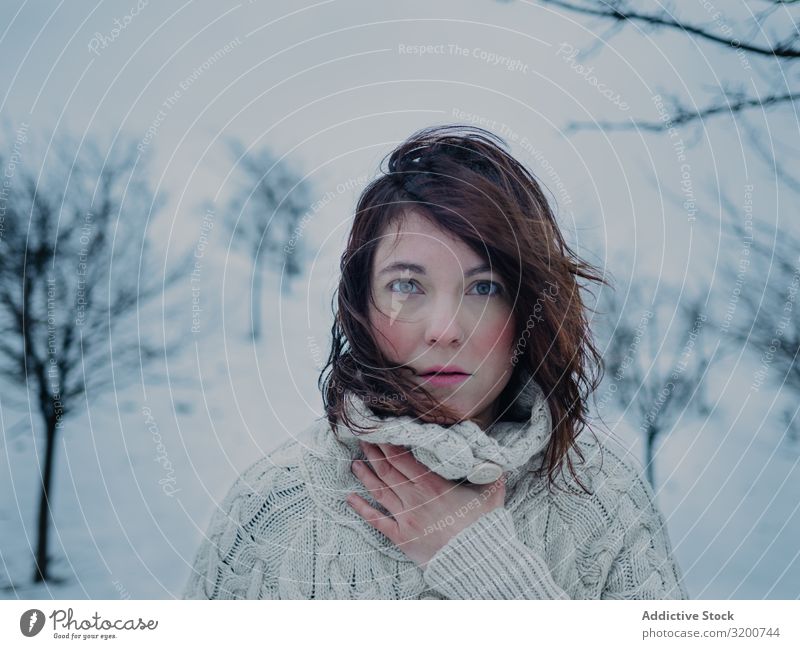 Dreamy woman in sweater against winter landscape Woman Winter Portrait photograph Sweater Landscape Snow Brunette Pensive Model White Area Attractive Seasons