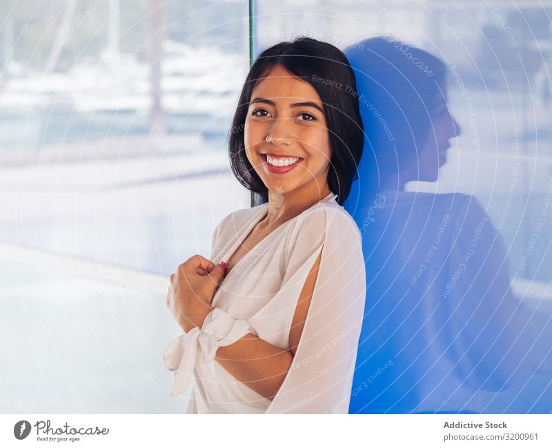 Young woman in beautiful dress smiling Woman Calm Splendid Attractive Smiling Youth (Young adults) Beautiful Model pretty Cheerful Brunette Gorgeous enjoying