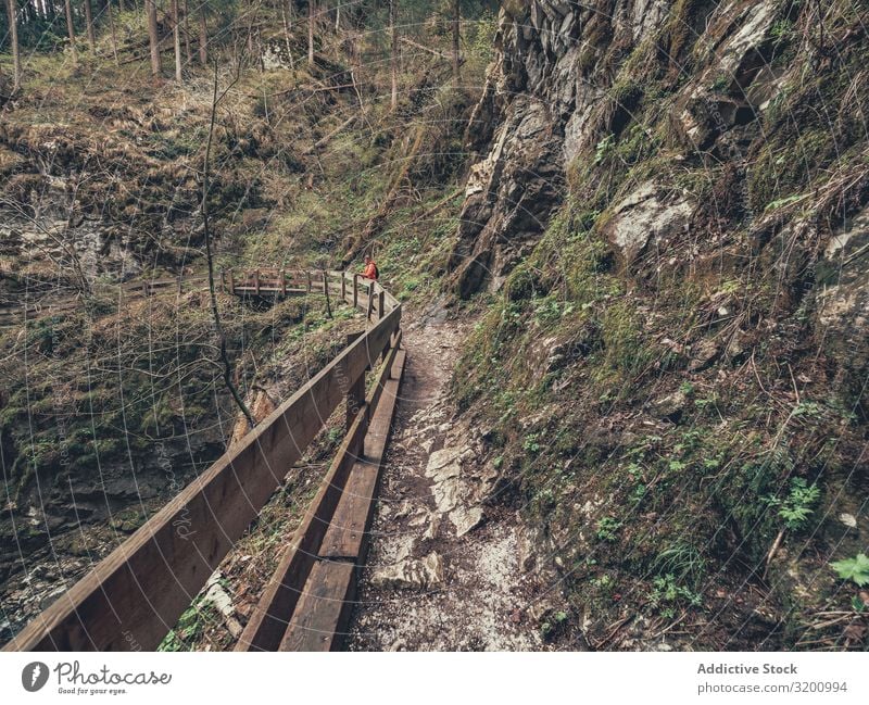 Traveller admiring picturesque view of mountain stream Mountain Stream traveller Picturesque Vantage point Tourist Hiking Lanes & trails Majestic Alps Dolomites