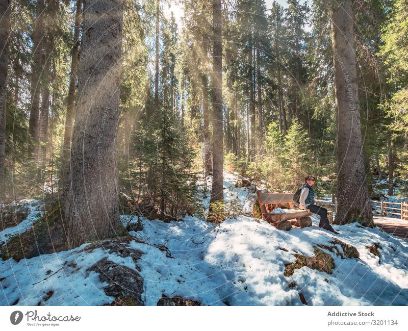 Woman sitting on bench and looking at sun rays passing through trees Forest Majestic Landscape Nature Youth (Young adults) Vacation & Travel Adventure Cold