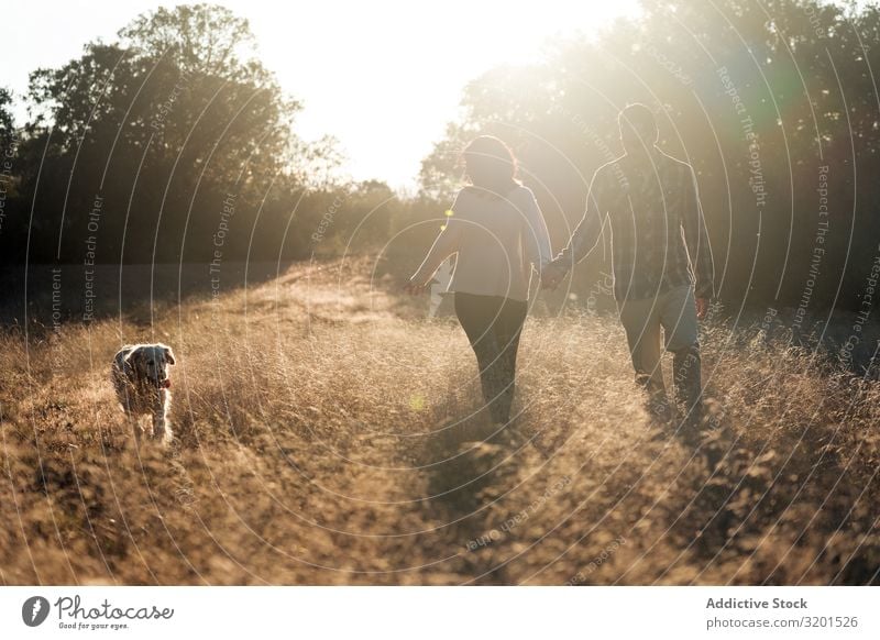 Couple with dog in countryside at sunset Landscape Sunset Dog Field To go for a walk Harmonious Together Domestic Gold Rural Relationship romantic Countries