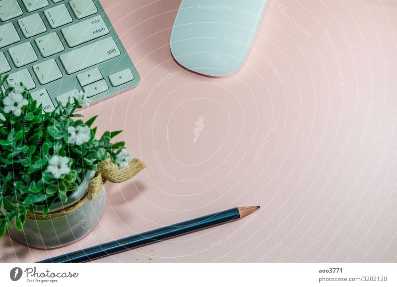 top view keyboard computer Design Desk Table Work and employment Workplace Office Business Computer Feminine Flower Paper Modern Pink Idea Creativity Tradition