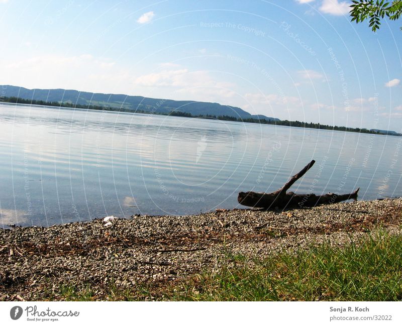 summer idyll Summer Physics Lake Beach Sun Warmth Water Coast