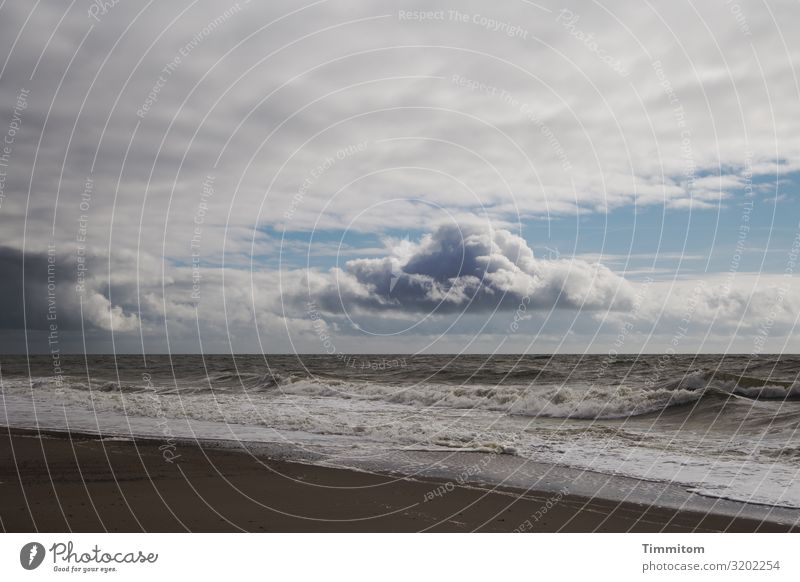 North Sea with beach, clouds and waves North Sea coast North Sea beach Water Waves Sand Clouds Sky Weather Gray Blue Beach Vacation & Travel Denmark