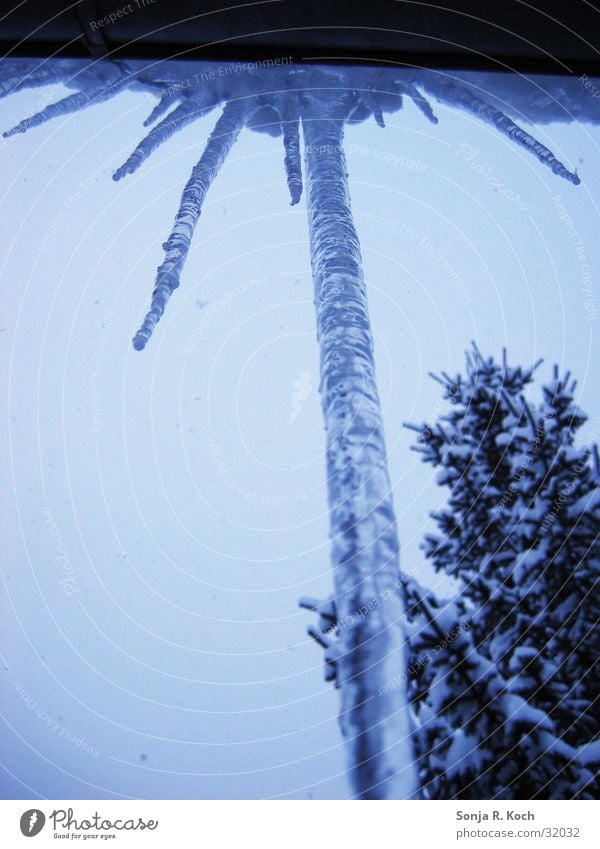 Icicle I Cold Ice Frozen Winter Water Snow