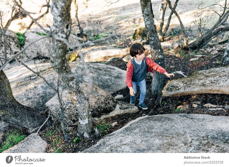 Little boy walking on rocky hill Boy (child) Nature explore Forest Rock Hill Child Infancy Action Dream Park Discovery Vacation & Travel Recklessness Seasons