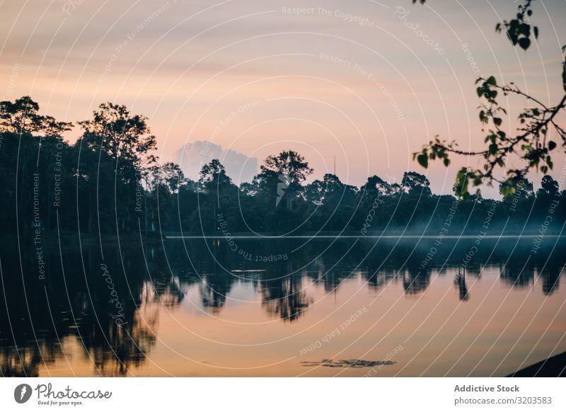 Slight fog above peaceful lake in early morning Lake Sunrise Fog Tropical Landscape Thailand Peace Calm Morning Nature Water Dusk Float in the water Reflection