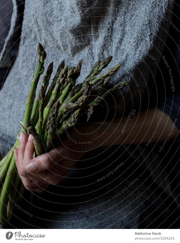 Faceless woman holding bundle of green asparagus Woman Asparagus Rustic Green Bundle Hand Hold Organic Diet Food Natural Nutrition Raw Ingredients