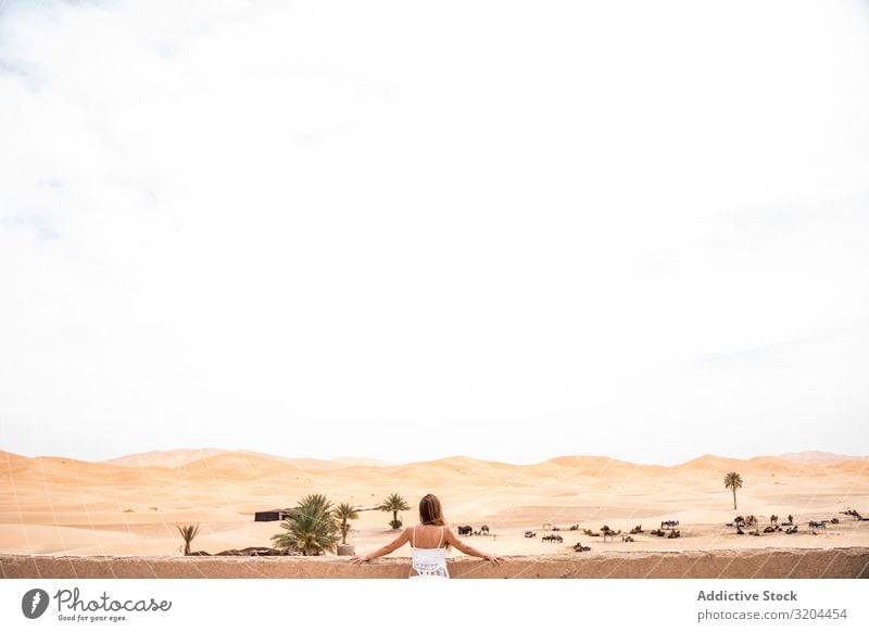 Anonymous woman on terrace against desert landscape Woman Desert Terrace Morocco Vacation & Travel To enjoy Lean Balcony Landscape Nature White Summer Fresh