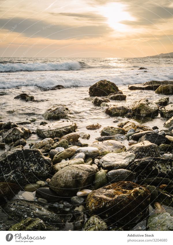 Stony seashore and waves at beautiful sunset Coast Wave Sunset Beautiful Picturesque Wet Calm seaside Sky Ocean Water Beach Nature Landscape seascape Serene