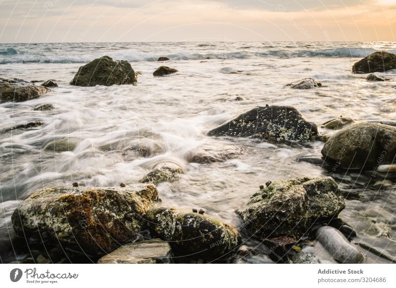 Stony seashore and waves at beautiful sunset Coast Wave Sunset Beautiful Picturesque Wet Calm seaside Sky Ocean Water Beach Nature Landscape seascape Serene