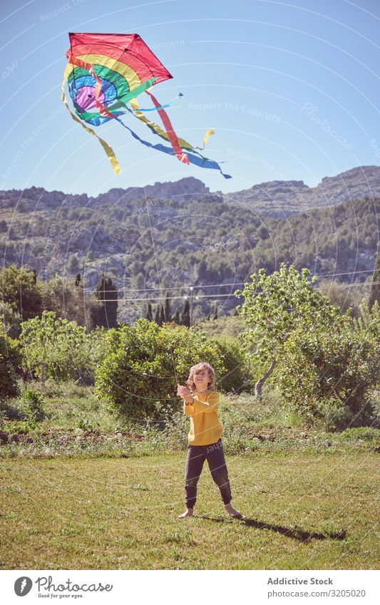 Boy launching kite on summer day Boy (child) Kite Sky Joy Infancy Playing Flying Landscape Child Small Human being Action Playful Easygoing Recklessness