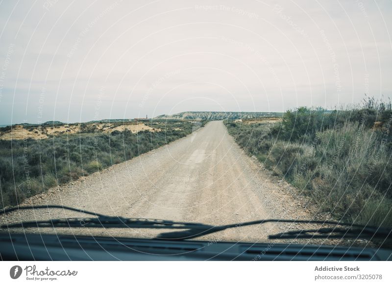 Empty road leading between fields with vegetation Street Desert Landscape Plant Trip Dry Nature Sky Vacation & Travel Hot Destination exploring Dune Tourism