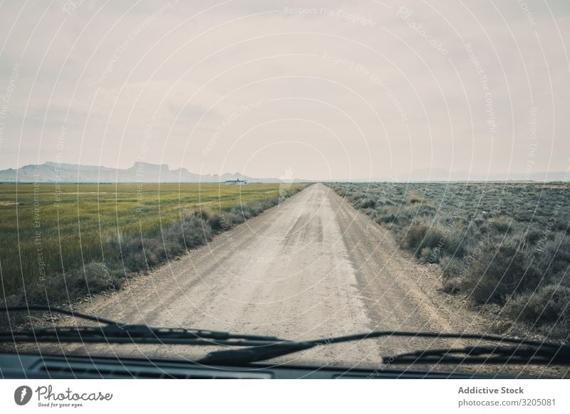 Empty road leading between fields with vegetation Street Desert Landscape Plant Trip Dry Nature Sky Vacation & Travel Hot Destination exploring Dune Tourism