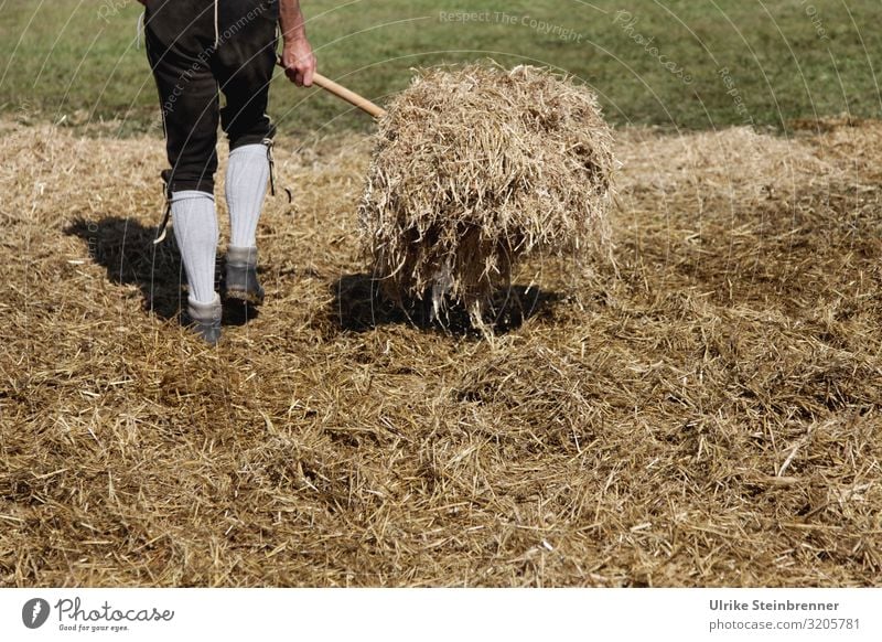 Legs with knee breeches and pitchfork turning hay Human being Masculine Young man Youth (Young adults) Man Adults Life 1 18 - 30 years 30 - 45 years Environment