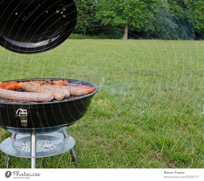 Barbecue in the park Meat Sausage Steak Nutrition Picnic Slow food Barbecue (apparatus) Barbecue (event) BBQ season Lifestyle Summer Park Meadow Eating Hot