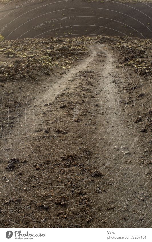 unsurfaced Nature Earth Moss Rock Lanes & trails Brown Traffic lane Stone Colour photo Subdued colour Exterior shot Deserted Day