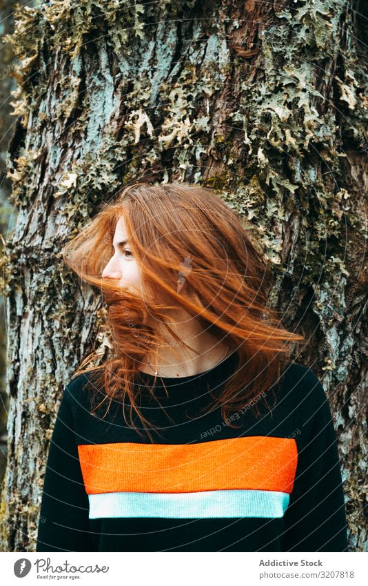 Casual redhead woman shaking with hair waving hair natural shake scotland beauty hairstyle romantic beautiful bark tree ginger pretty attractive motion summer