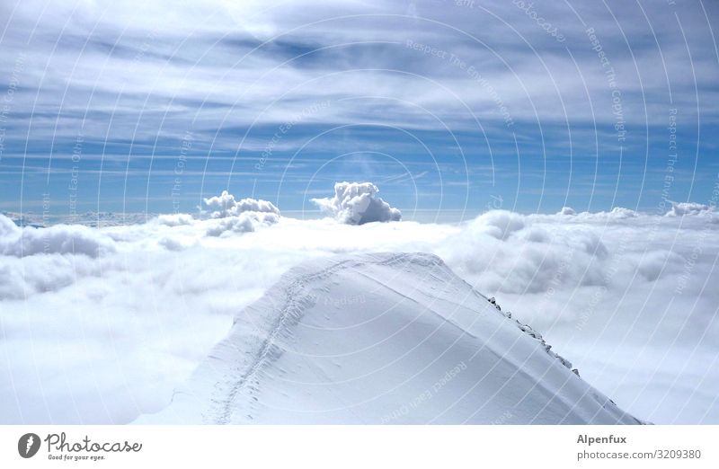 launch pad Clouds Climate Climate change Beautiful weather Ice Frost Alps Mountain Peak Snowcapped peak Glacier Cool (slang) Fantastic Cold Joy Happy Happiness