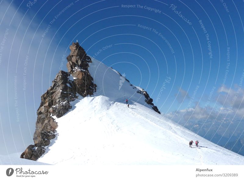 Schwarzhorn from the north Climate Climate change Beautiful weather Ice Frost Snow Hill Rock Alps Mountain black horn Monte Rosa Peak Snowcapped peak Glacier