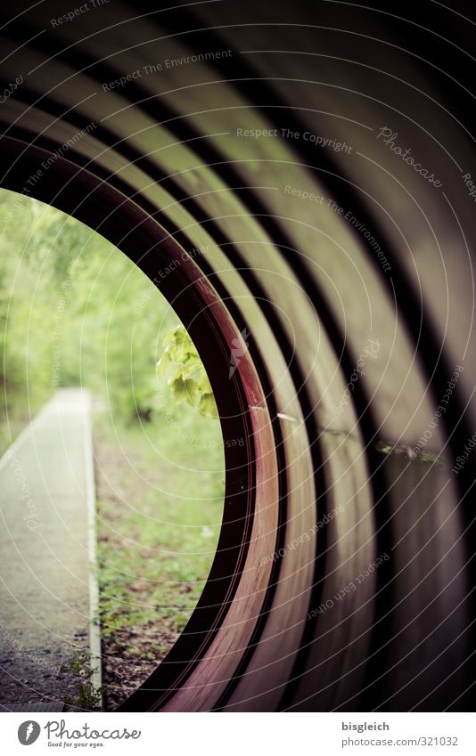 tunnel vision Berlin Federal eagle Europe Park Tunnel Tunnel vision Lanes & trails Metal Brown Gray Green Hope Insecure Future Nature Park South Area