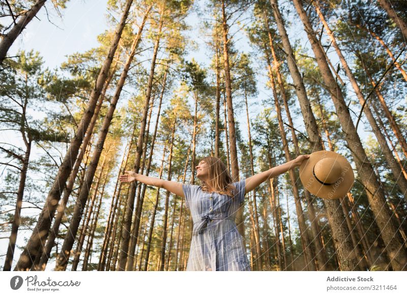 Smiling young woman relaxing among pine trees beam woods carefree sunlight forest happy nature casual sensual golden adventure smiling straw hat blond dress