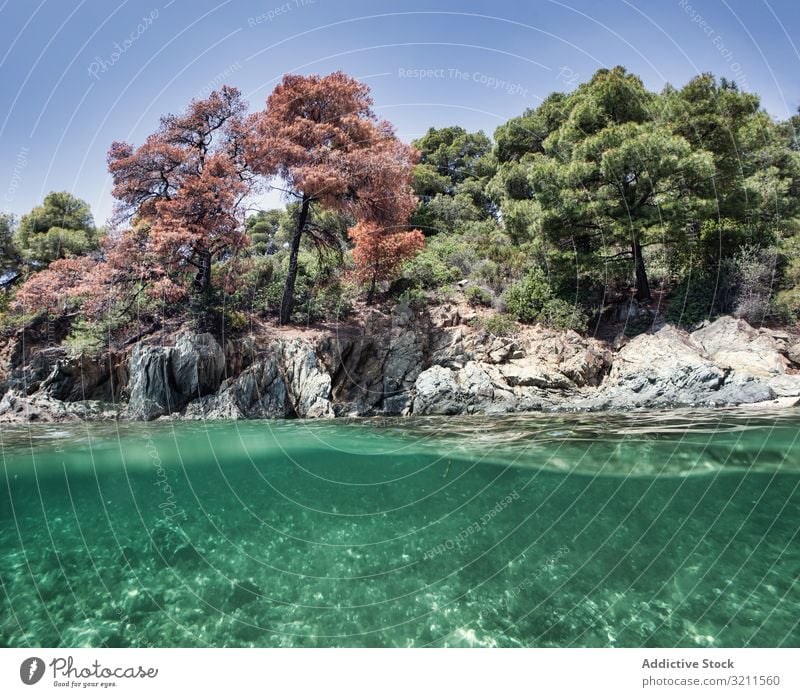 Stony island with bright greenery surrounded by water underwater sea bottom rocky formation nature summer halkidiki greece turquoise blue environment aquatic