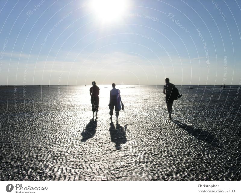 towards the sun Walk along the tideland Horizon Mud flats Sun Shadow Silhouette