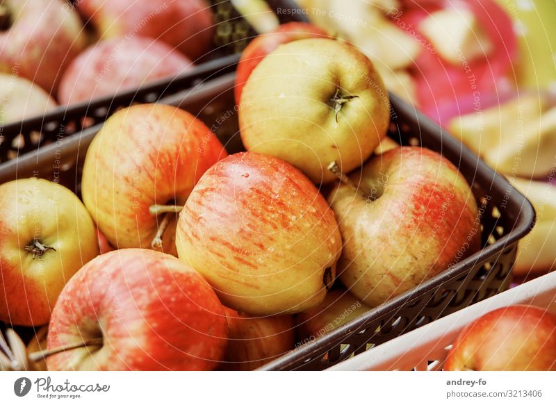 Apples in basket Plant Discover Success Expectation apple fruit Basket Mature Healthy Delicious allstar Red Yellow Healthy Eating Fruit Harvest Colour photo