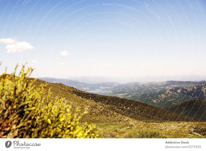 Picturesque view of beautiful green hills picturesque flower blue cloudless sky nature landscape scenic scenery meadow idyllic blossom blooming summer rural