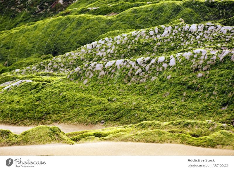 Stony hill covered with moss hillside stone surface countryside green growth wet grass rough rock formation geology nature harmony idyllic picturesque slope