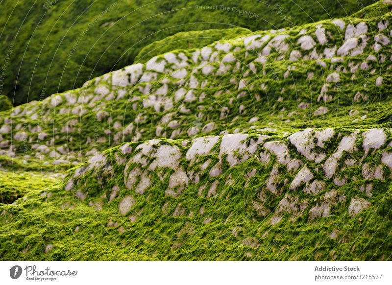 Stony hill covered with moss hillside stone surface countryside green growth wet grass rough rock formation geology nature harmony idyllic picturesque slope