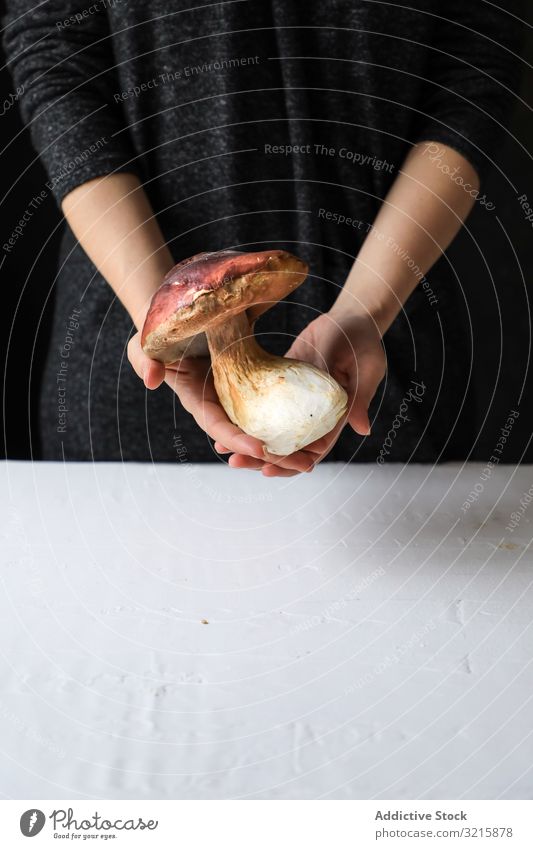 Large mushroom with brown cap and white trunk growing plant forest nature food fungus fresh natural edible flora organic raw beautiful large nutrition delicious