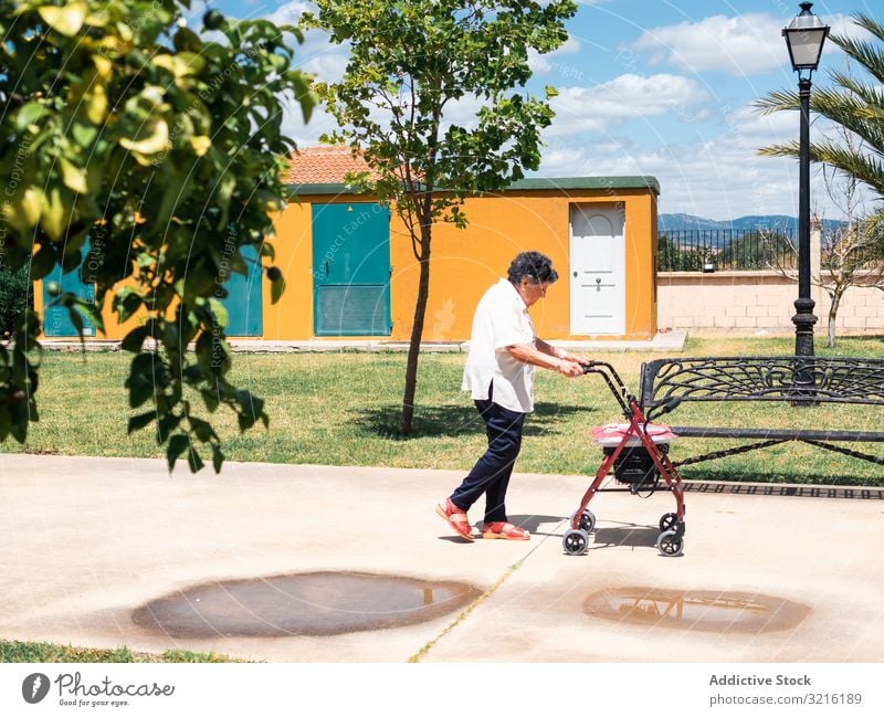 Elderly woman with walker on street aged park experience wisdom activity healthy exercise grandmother attention grandparent generation senior elderly female