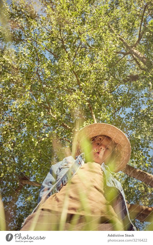 Boy in hat sitting in long grass boy thoughtful countryside kid little childhood fun casual nature summer meadow funny active freedom light park adorable